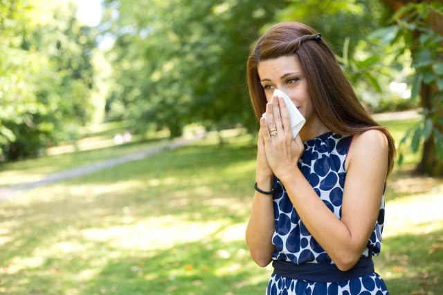 Prepoznajte i prirodno leèite alergiju na ambroziju